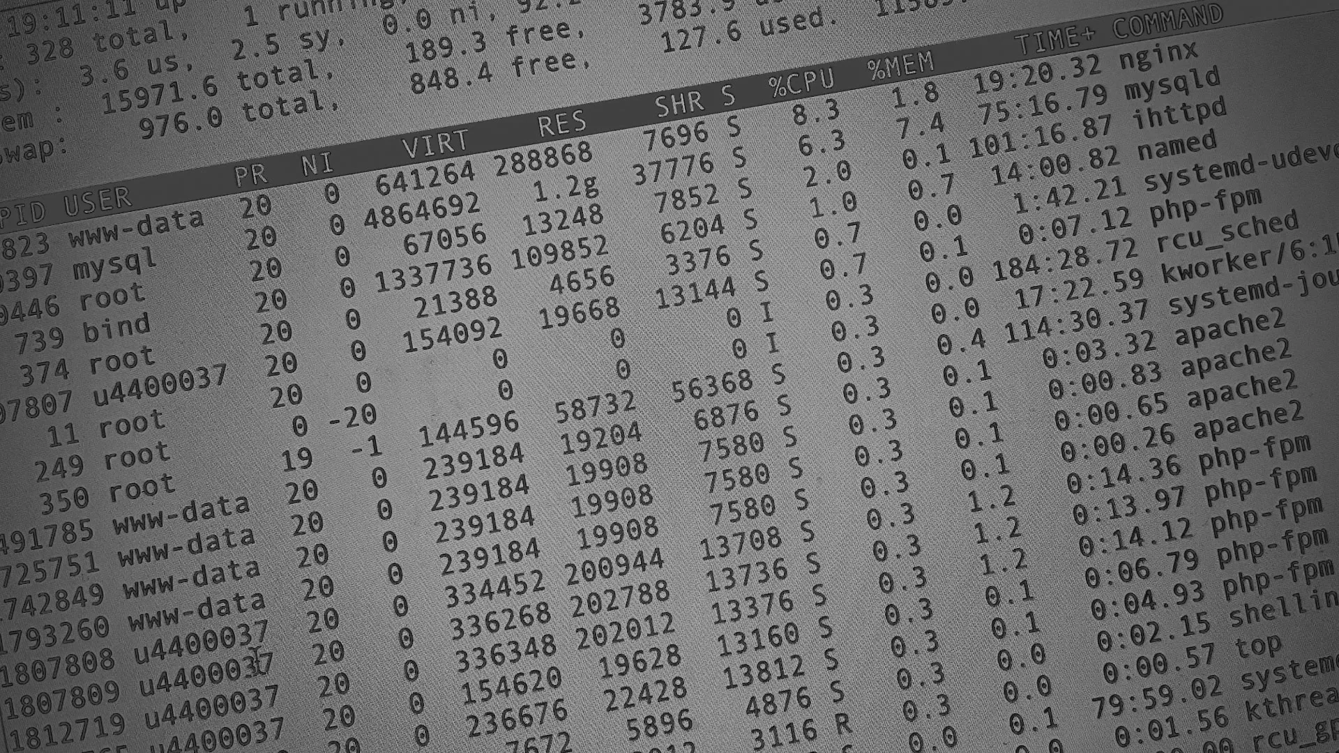 Настройка сервера в Сургуте