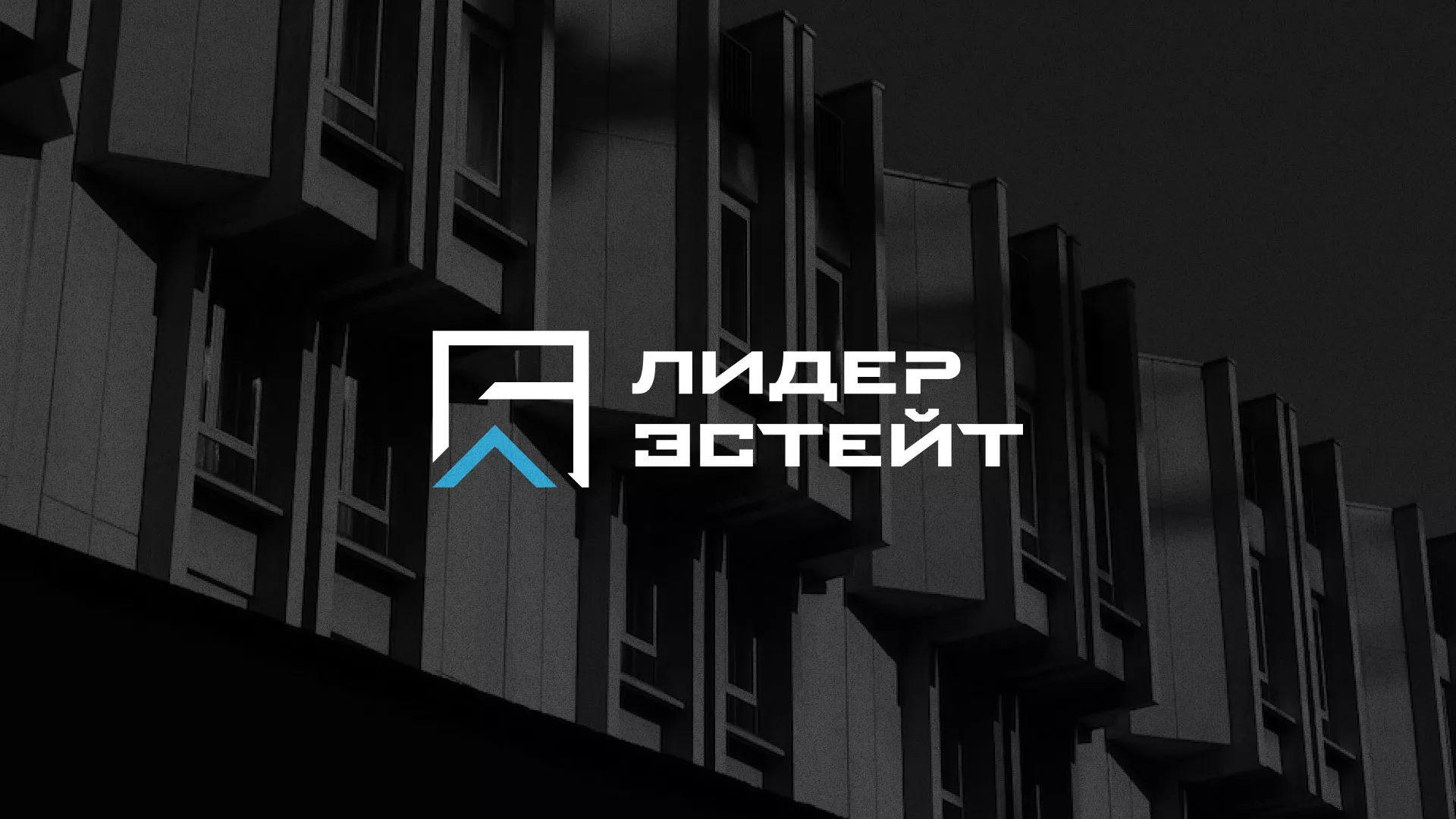 Разработка логотипа агентства недвижимости «Лидер Эстейт» в Сургуте